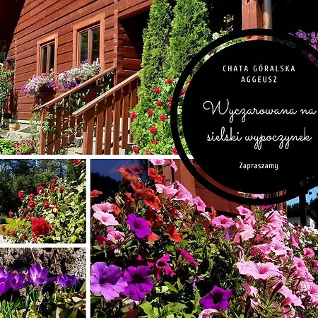 Góralska Aggeusz Wisła