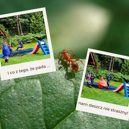 Holiday home Chata Goralska Aggeusz Wisla