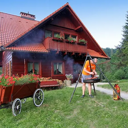 Góralska Aggeusz Wisła