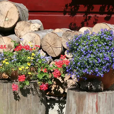 Dom wakacyjny Góralska Aggeusz