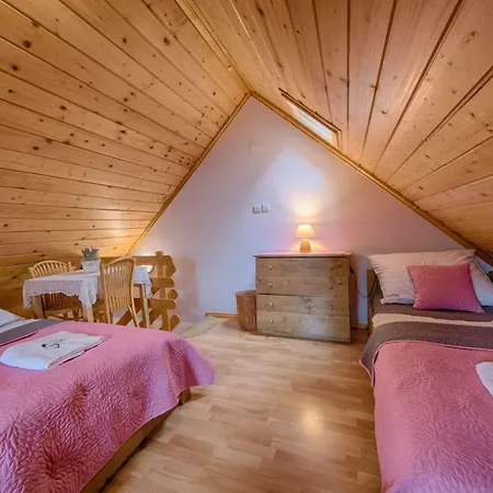 Dom wakacyjny Góralska Aggeusz *