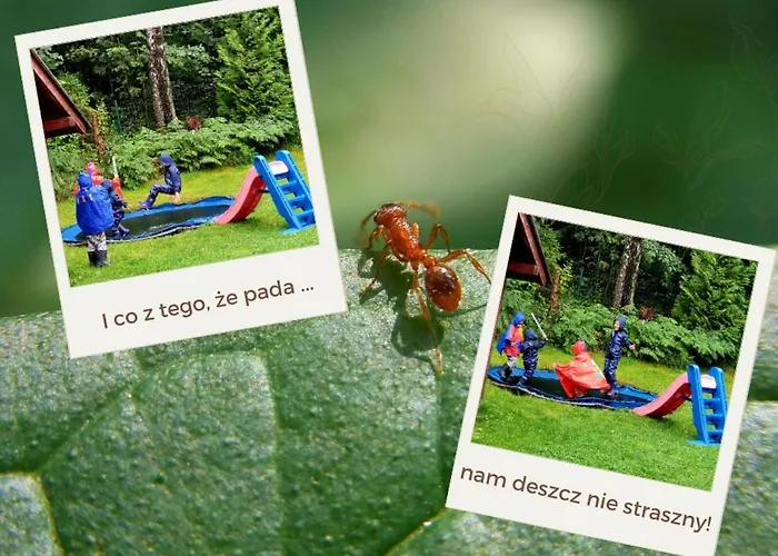 Holiday home Chata Goralska Aggeusz Wisla