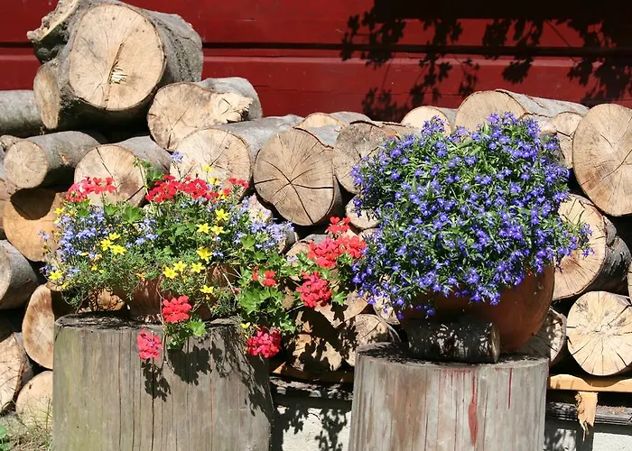 Holiday home Chata Goralska Aggeusz